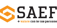 Logo Saef